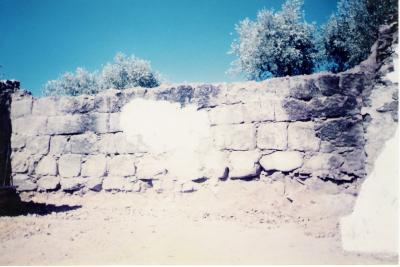 Recinto fortificado "Los Canchuelos". Edad del Hierro.